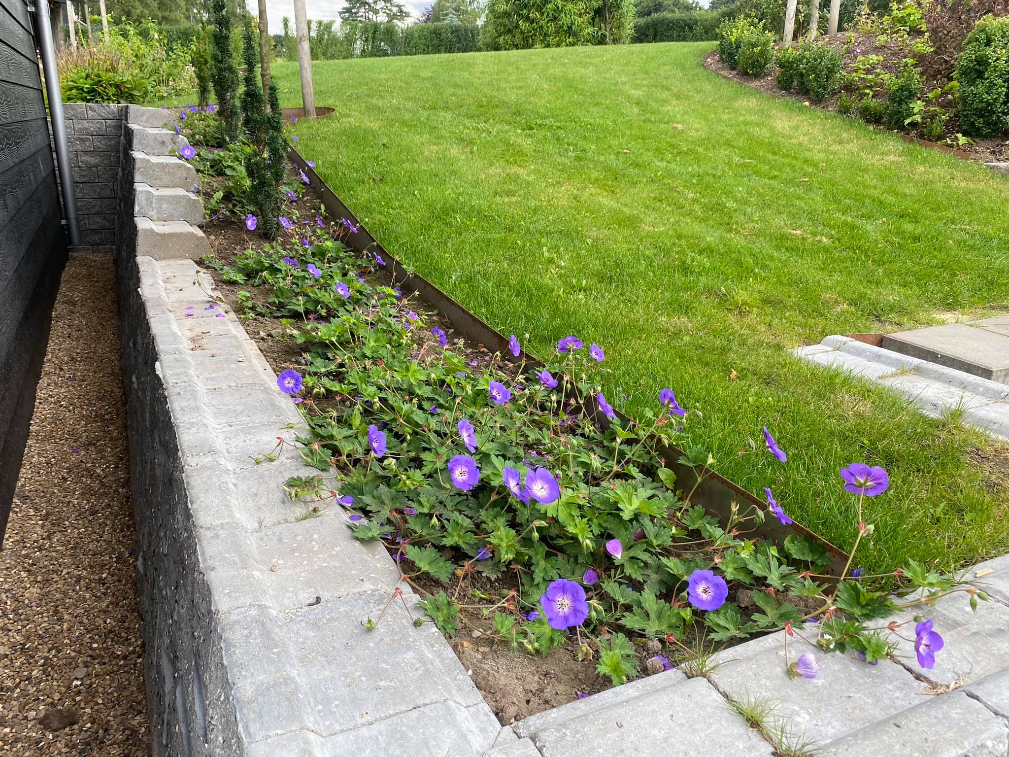 117694616 3870010866349441 319561456956540940 N