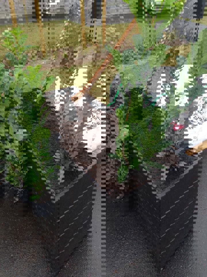 19105882 1766511913366024 3773889707804368411 N 1766511913366024