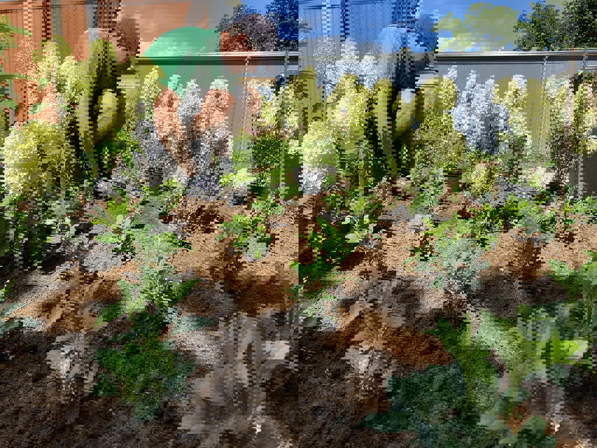 308839826 10161444293154714 7884341397360891655 N