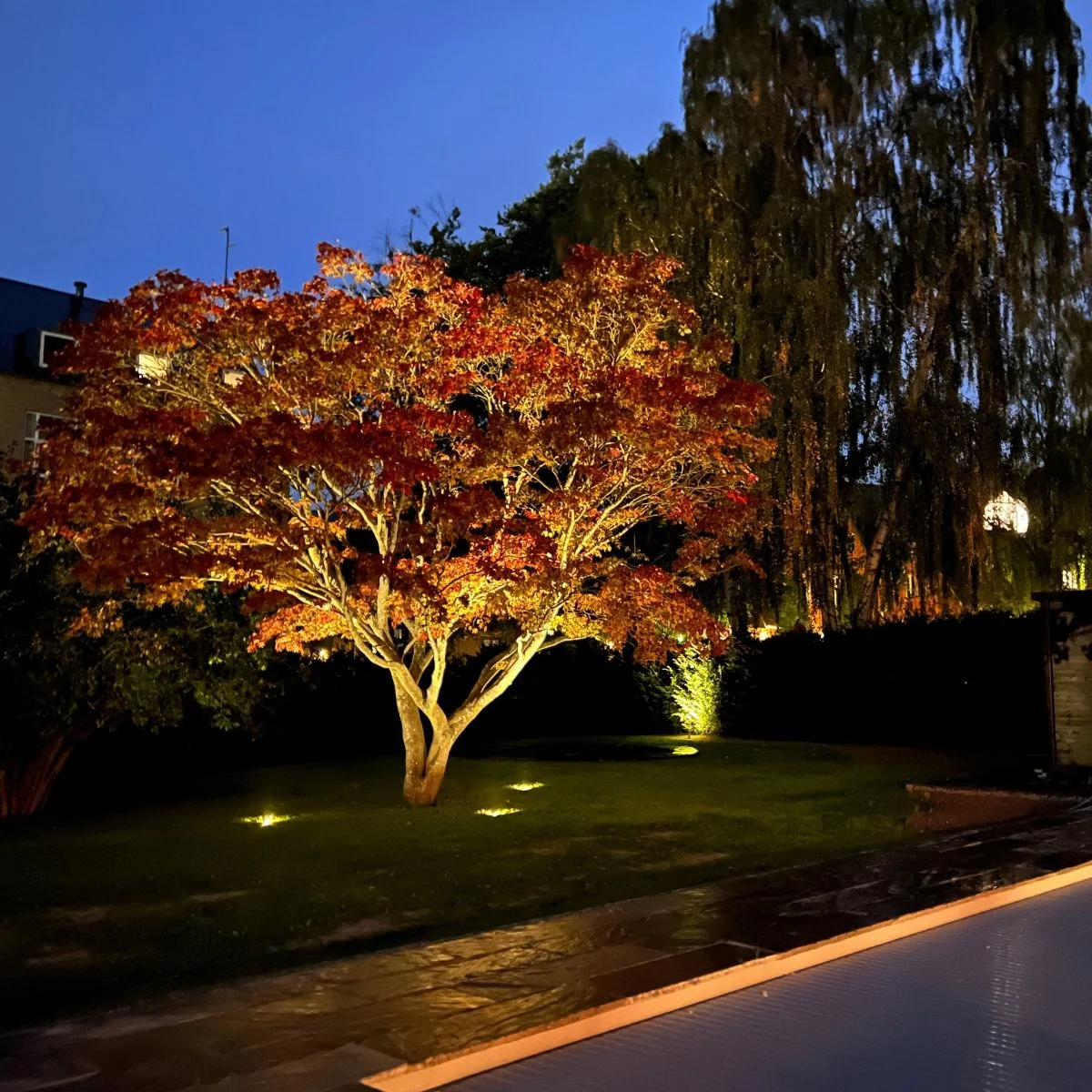 37 99688Ab6 A604 4C45 Abca 976Fdcab0f2c