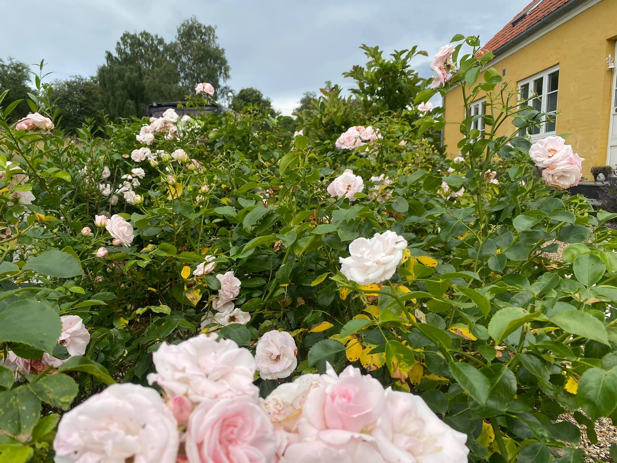 117755819 3870012456349282 5236690280832467387 N